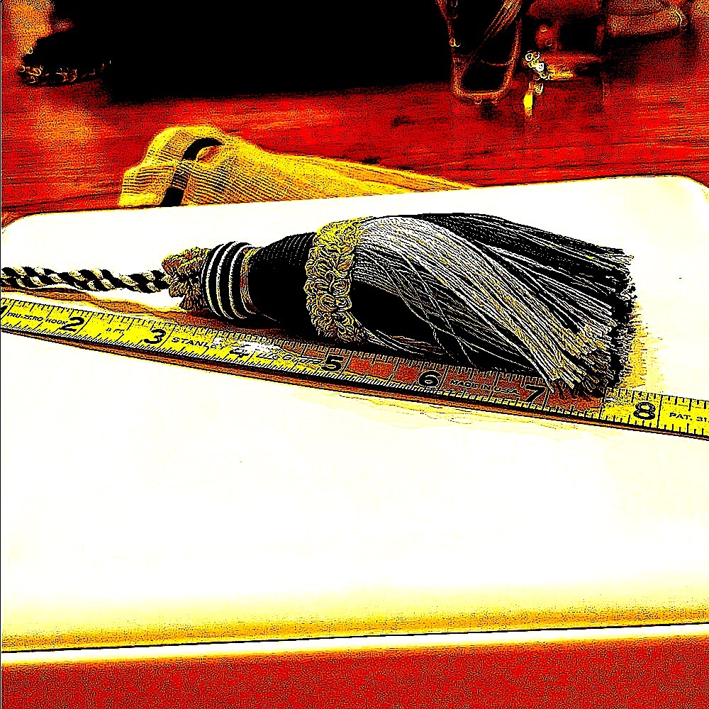 NWOTMacKenzie-Childs Tassel&pouch
BeautifulBlackWhiteGreen&GoldIntricate design - Picture 8 of 8